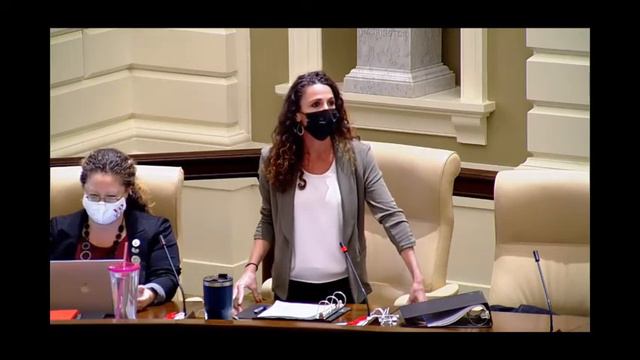 Diana DiZoglio | Senate Floor Speech | State Reopening & ARPA Transparency | 11/10/21