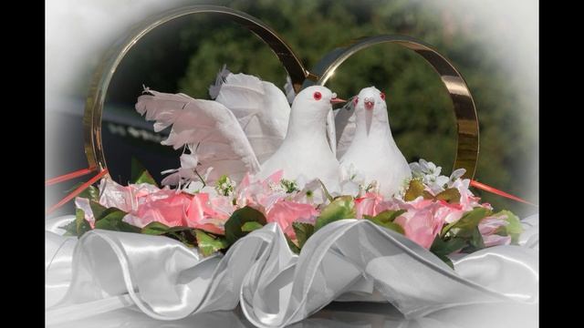 8 ЛУННЫЙ ДЕНЬ 20 июля 2018 год смотреть онлайн