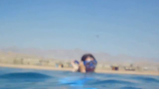 Невероятное погружение на дно красного моря 2014 g. смотреть онлайн