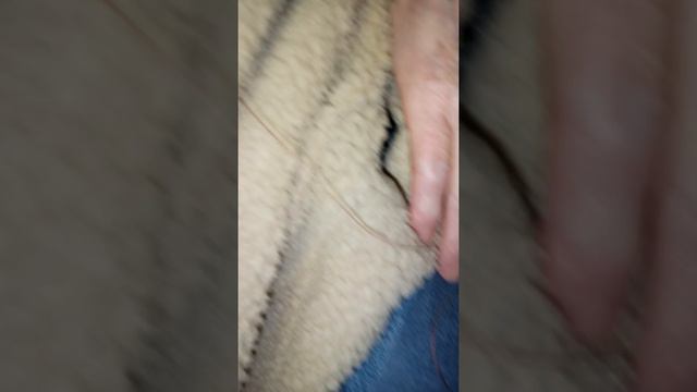 совет рыбакам оснастка на любую рыбу. смотреть онлайн