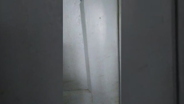 Продаётся дом ст.Каневская! смотреть онлайн