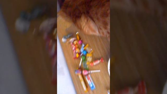 Дегустирую сладости жвачка дирол арбузодынный вкус ,жвачка орбит ,с вкусом арбуза , холс лимон и мё