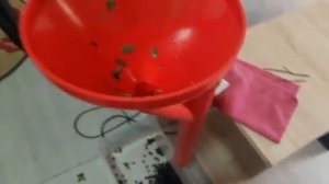 переборка ягоды в домашних условиях