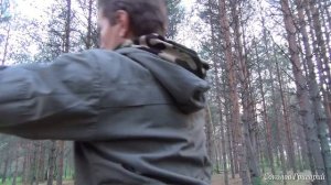 Как повесить в лесу тент, чтобы не навредить деревьям