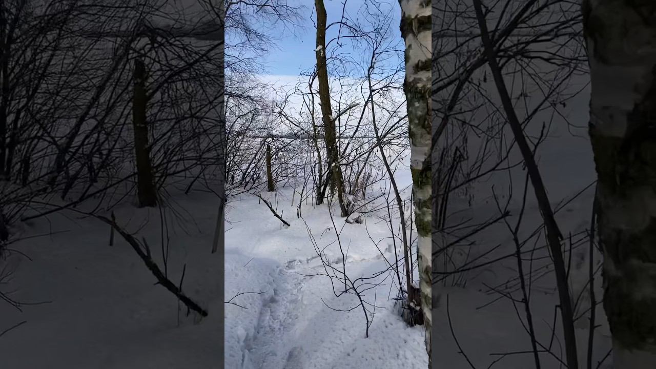 Шашлыки на зимней природе #природа#зима #шашлык #пить #отдых #кайфули #релакс #еда #зимнийлес смотреть онлайн
