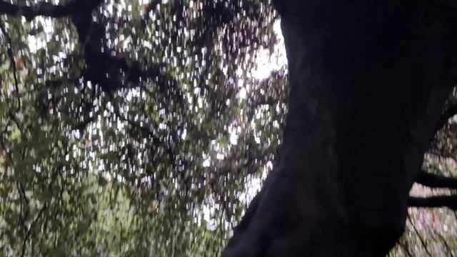 Обликът на Лондон - Kensington, Chelsea, Royal Albert Hall, Kensington Gardens, Knightsbridge смотреть онлайн