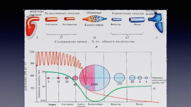 1-1 смотреть онлайн