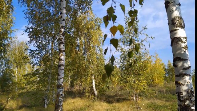 15 октября/ДЕНЬ КУПРИЯНА/Как избавиться от ИКОТЫ/Чтобы не простудиться/Приметы смотреть онлайн