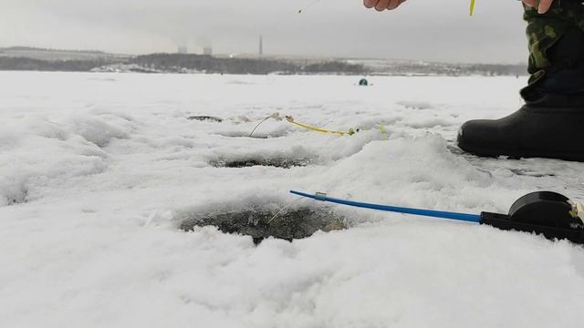 Зимняя рыбалка на плотву и густеру // Рыбалка 2023 / Отличный клёв в феврале смотреть онлайн