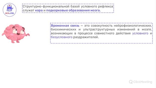 Условные и безусловные рефлексы | Пути замыкания временных связей | Нормальная физиология смотреть онлайн