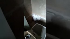 Продаётся дом с большим участком и постройка в г. Малоярославец