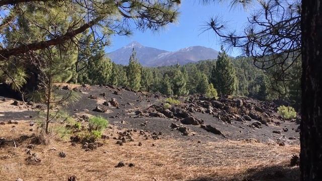 Tenerife! The best hiking route - Teide National Park ? Canary Islands ?? Islas Canarias Spain смотреть онлайн