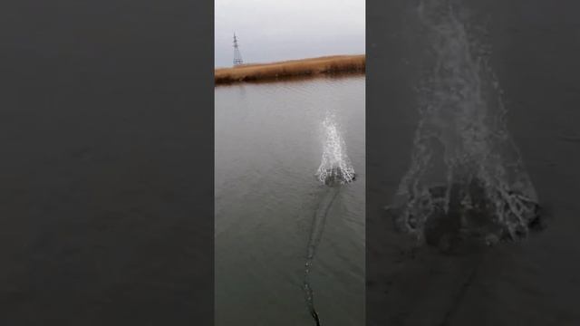 Рыбалка на поисковый магнит 2F1000, в речке Кагальник. смотреть онлайн