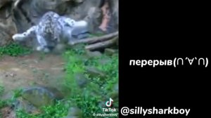 Реакция «БлюЛока» на ТикТок[]2/?[]Кайзер х Исаги[]Рин х Исаги[]