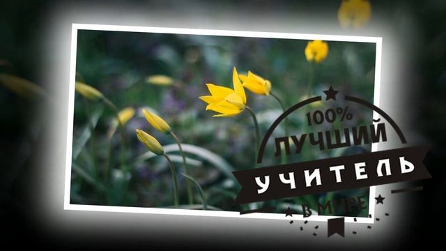 Красивое поздравление с днем учителя! Видео открытка с днем учителя! смотреть онлайн