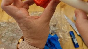 заливаем воском или парафином донце гиппеаструма