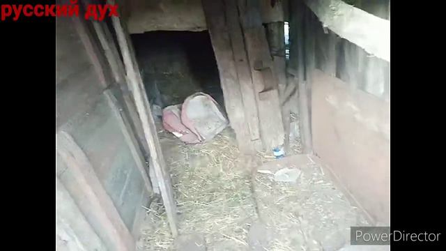 ДЕД МАТВЕЙ И КРОЛИКИ, КАК МЫ С ДЕДОМ КРОЛИКОВ ЛОВИЛИ. смотреть онлайн