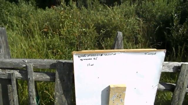 20 калибр, стреляем дробью №0000, все как есть))) смотреть онлайн