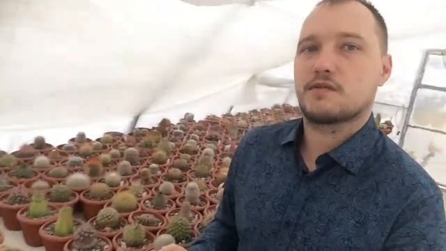 Теплица суккулентов 8-988-555-55-70 смотреть онлайн