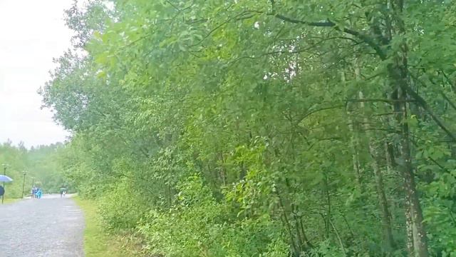 Рускеальский ретро-экспресс и парк смотреть онлайн