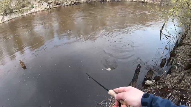 Ассорти из весенних рыбалок. смотреть онлайн