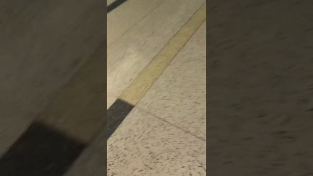 Fall edition of the International arrivals area at Terminal-E смотреть онлайн