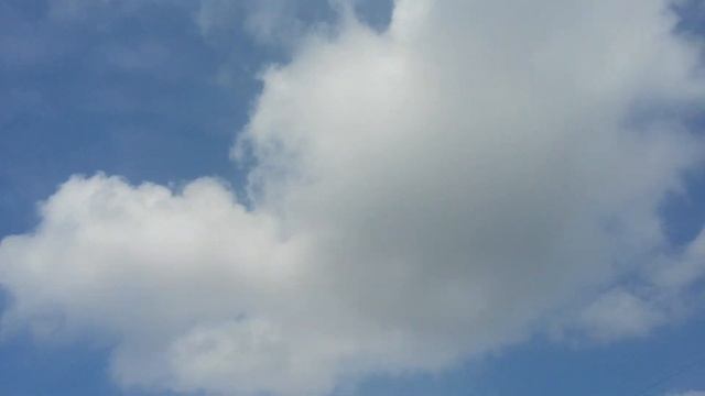 КРАСОТА - МОРЕ ПОДСОЛНУХОВ. смотреть онлайн