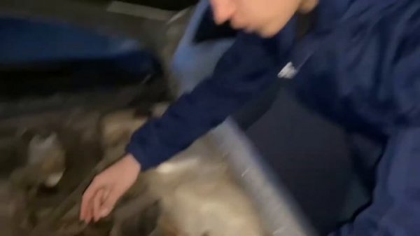 КАК Убрать ЧЕК check ошибка двигателя горит чек