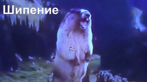 БЕШЕНИЙ БОБЕР!!! ОРЕТ!!!