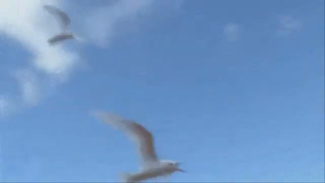 А НЕБО ЗАБИРАЕТ ЛУЧШИХ смотреть онлайн