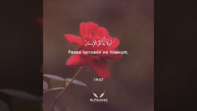 Сура Мариям 19: 65,⚘📖🌺 🎤 Абдурахман Мосад смотреть онлайн