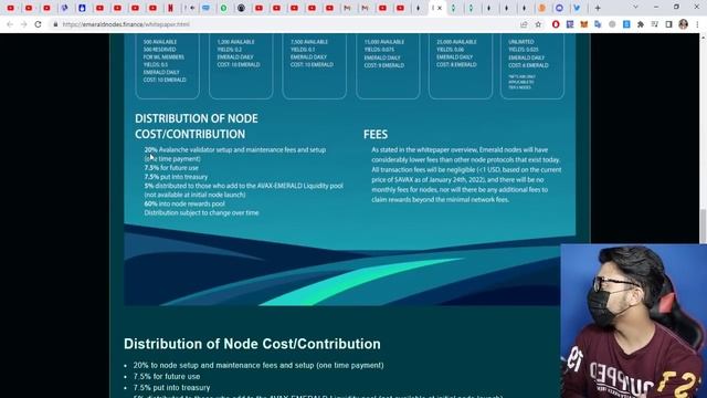 EMERALD NODES - New Node Project Launched ON Avalanche (AVAX) Network! смотреть онлайн