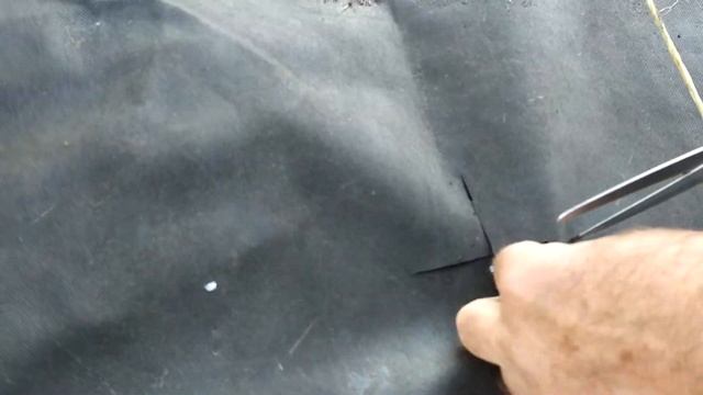ПОСАДКА ЧЕСНОКА под УКРЫВНОЙ МАТЕРИАЛ. смотреть онлайн
