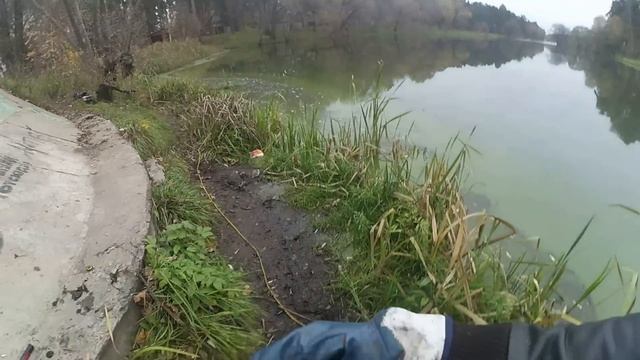 Вот Это Находка на Поисковый Магнит,search magnet смотреть онлайн