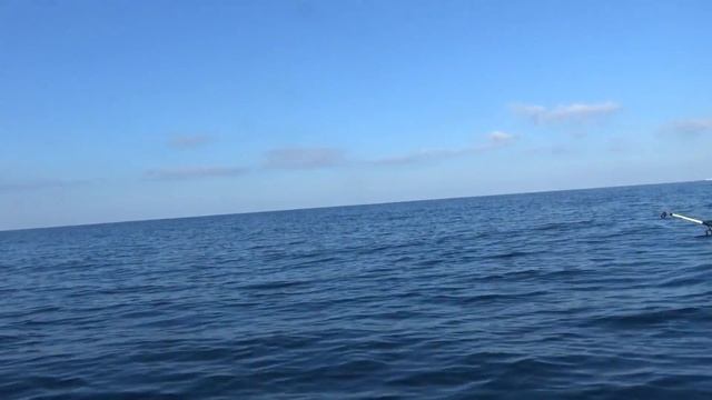 Морская рыбалка в ноябре в Черном море. Севастополь. ловим ставриду. смотреть онлайн