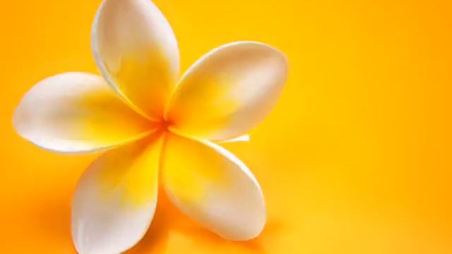 Loving Kindness Meditation смотреть онлайн