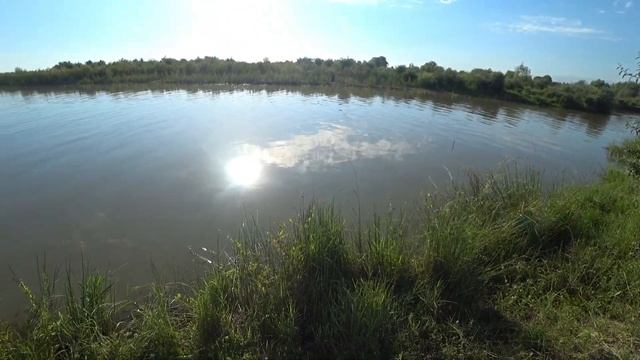 Капчагай| приехал на свои места а там| слов не хватает| рыбалка в алматы смотреть онлайн