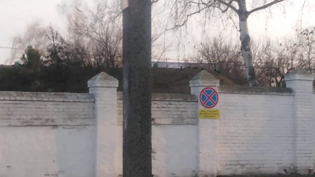 Стая ворон смотреть онлайн