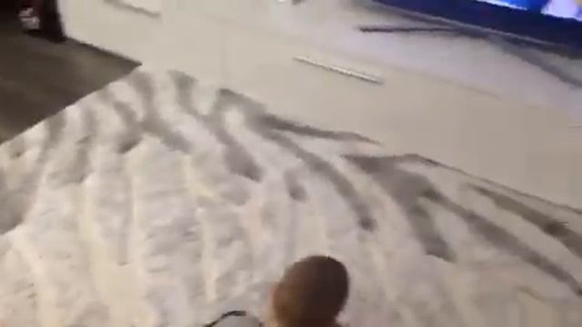 Бокс Против Борьбы !!!!! смотреть онлайн