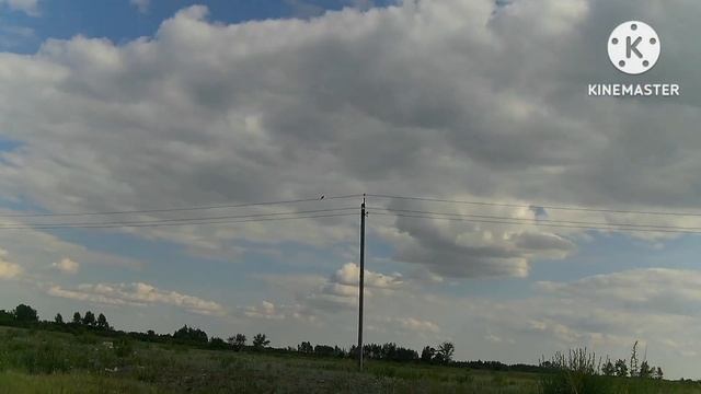 кроухантинг, Crowhunting, доберман 350, 4.5мм