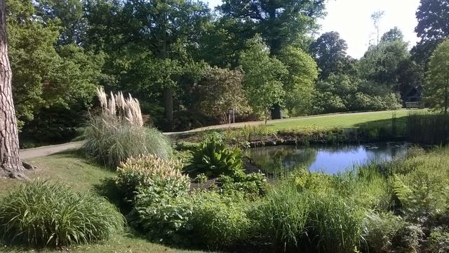 Бывший пастор разоблачает церковь и христианство смотреть онлайн