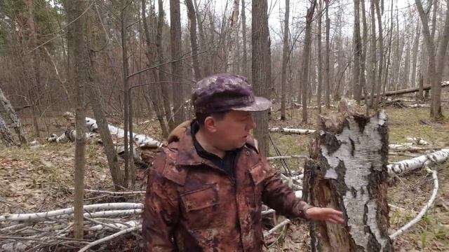 Последствия ожеледи... смотреть онлайн