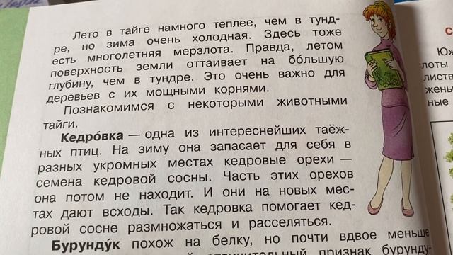 Окружающий мир 4 кл/Плешаков/: Тема: Леса России/06.10.2/ смотреть онлайн