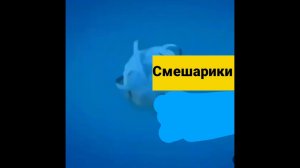 синий анонс карусели осень 2015 пытался сделать редкий фейк реконструкция