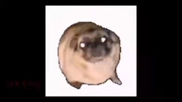 Salami salami salami gulp gulp gulp meme смотреть онлайн