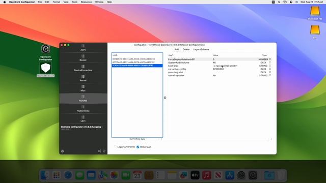 How To Enable/Fix AMD APU Graphics On MacOS | Hackintosh | Step By Step