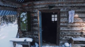 НОЧЁВКИ ЗИМОЙ, ВЫЖИВАНИЕ В ЛЕСУ