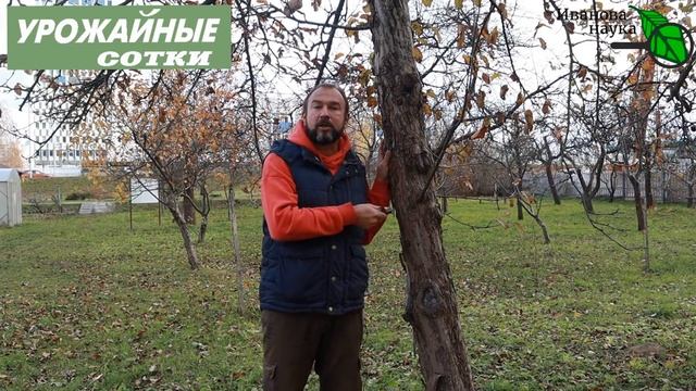 Домовладелец Pro