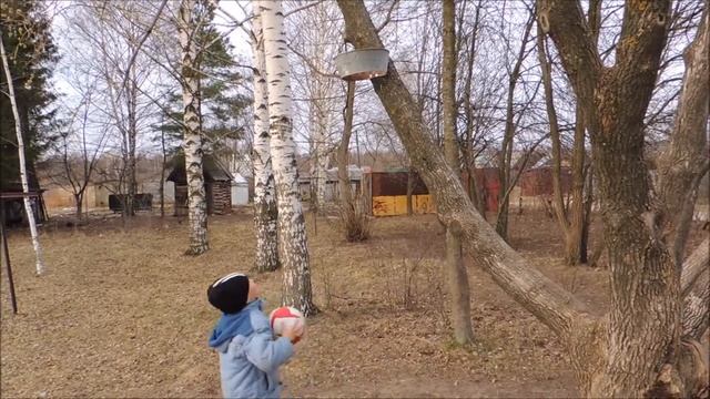 Баскетбол в деревне. ? смотреть онлайн