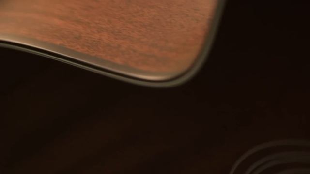 300 Series Acoustic Guitar Review - Taylor Guitars